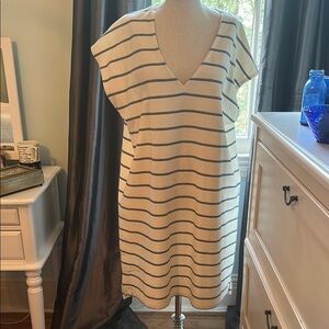 Madewell Blue and White Dolman Sleeve Mini Dress